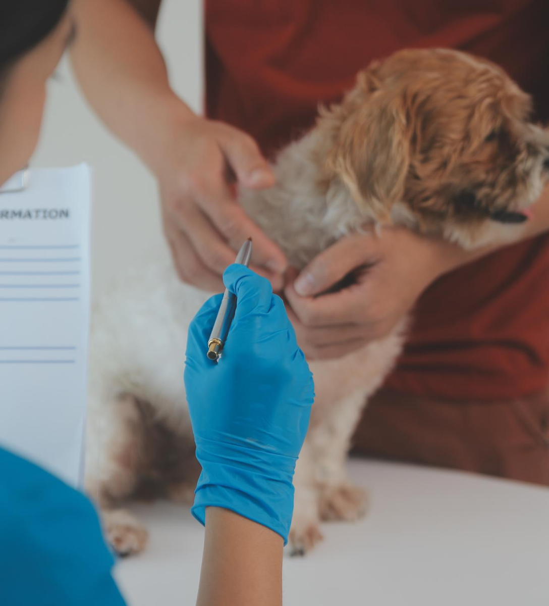 الرئيسية contact.png