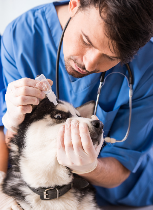 الرئيسية gallery three.png